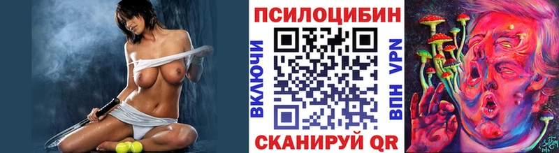 блэк спрут вход  Анжеро-Судженск  Псилоцибиновые грибы Cubensis 